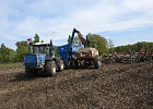 Посевная  кампания в Томской области выполнена на 68% от плана 